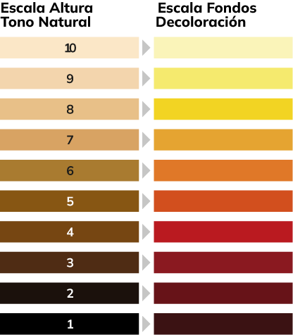 escala color tinte